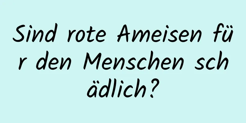 Sind rote Ameisen für den Menschen schädlich?