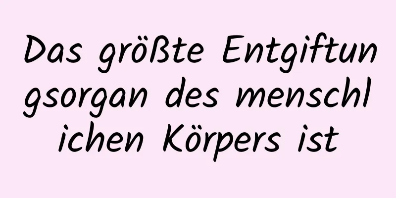Das größte Entgiftungsorgan des menschlichen Körpers ist
