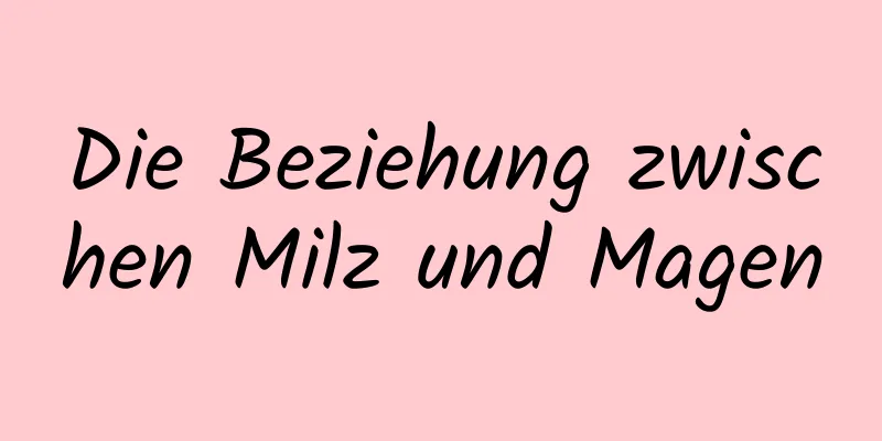 Die Beziehung zwischen Milz und Magen