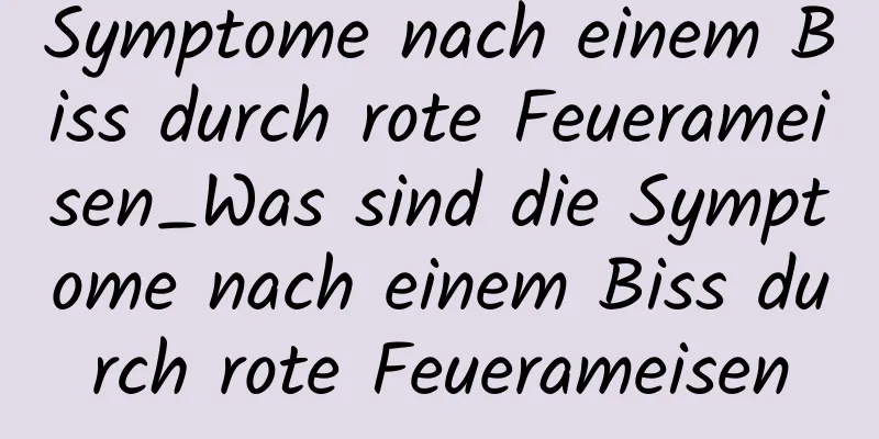Symptome nach einem Biss durch rote Feuerameisen_Was sind die Symptome nach einem Biss durch rote Feuerameisen