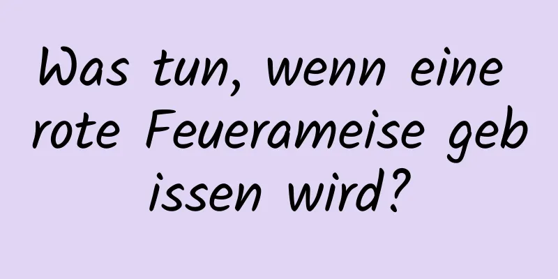 Was tun, wenn eine rote Feuerameise gebissen wird?
