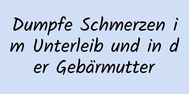 Dumpfe Schmerzen im Unterleib und in der Gebärmutter