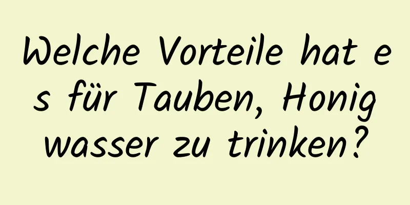 Welche Vorteile hat es für Tauben, Honigwasser zu trinken?