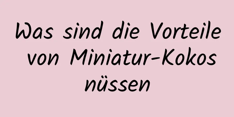 Was sind die Vorteile von Miniatur-Kokosnüssen