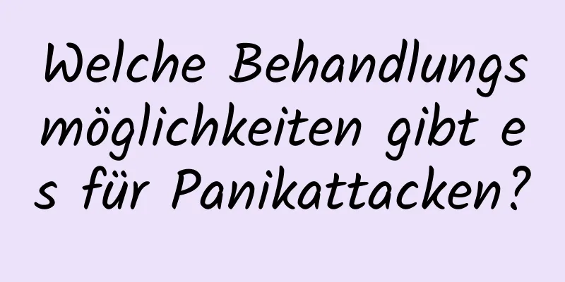 Welche Behandlungsmöglichkeiten gibt es für Panikattacken?