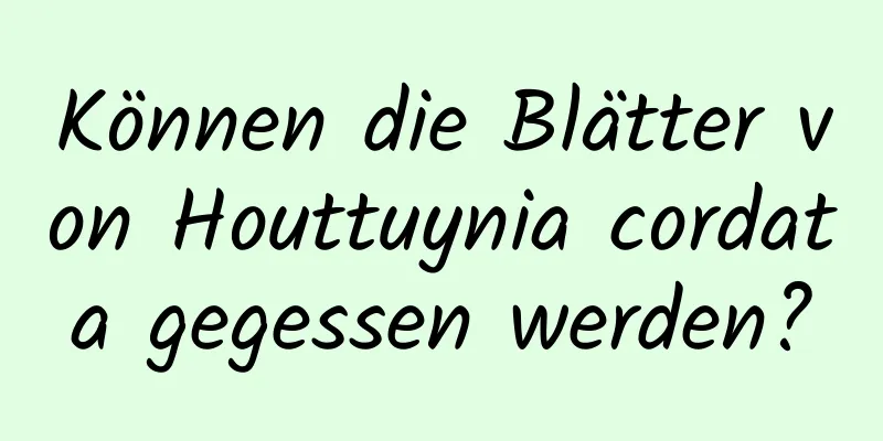 Können die Blätter von Houttuynia cordata gegessen werden?