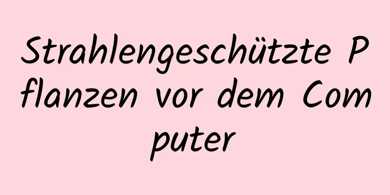 Strahlengeschützte Pflanzen vor dem Computer