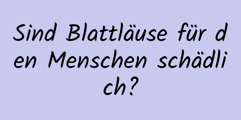 Sind Blattläuse für den Menschen schädlich?
