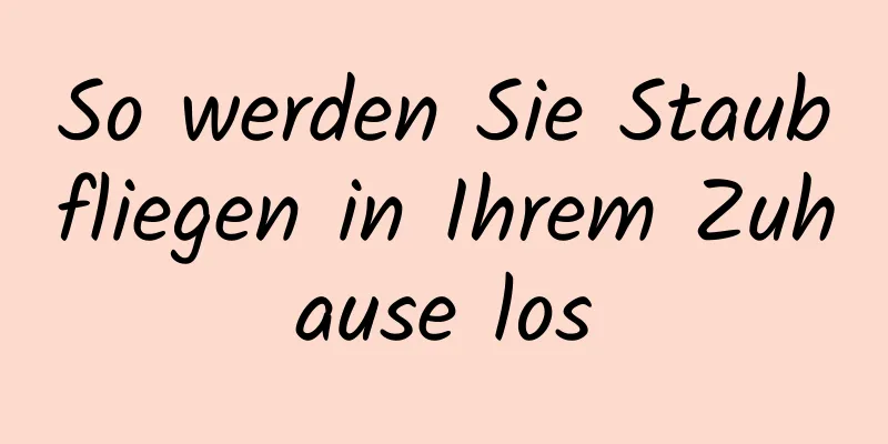 So werden Sie Staubfliegen in Ihrem Zuhause los