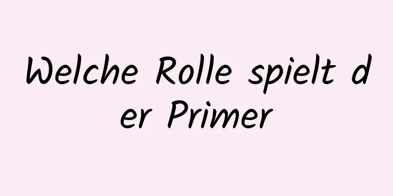 Welche Rolle spielt der Primer