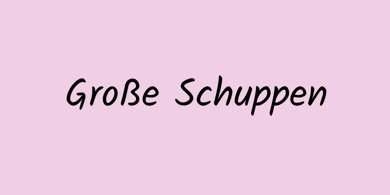 Große Schuppen