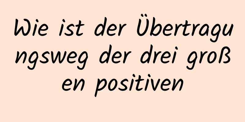 Wie ist der Übertragungsweg der drei großen positiven