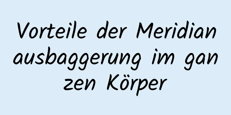 Vorteile der Meridianausbaggerung im ganzen Körper