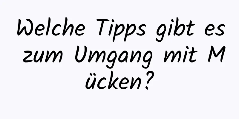 Welche Tipps gibt es zum Umgang mit Mücken?