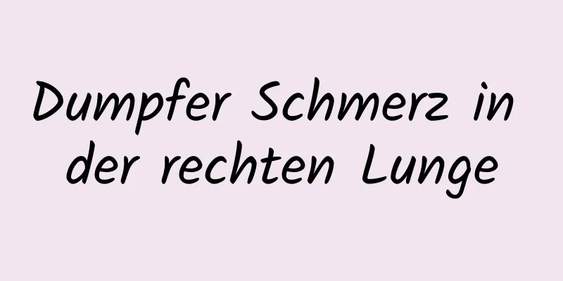 Dumpfer Schmerz in der rechten Lunge