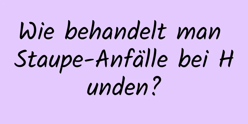 Wie behandelt man Staupe-Anfälle bei Hunden?
