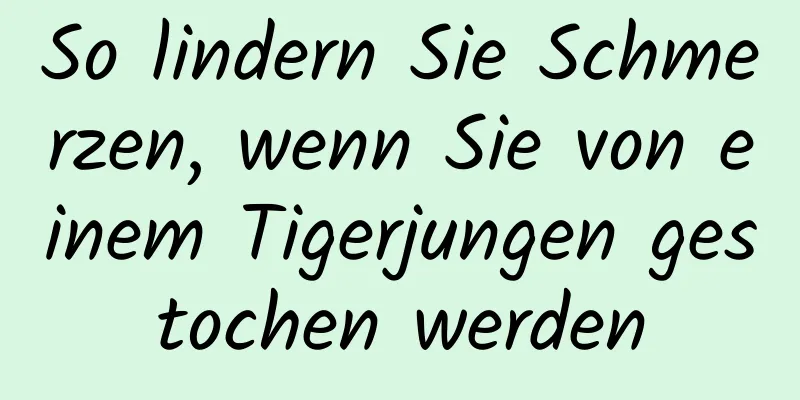 So lindern Sie Schmerzen, wenn Sie von einem Tigerjungen gestochen werden