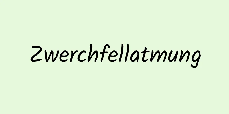 Zwerchfellatmung