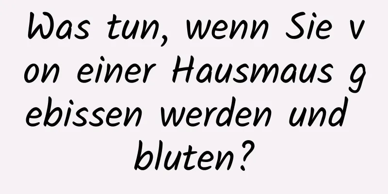 Was tun, wenn Sie von einer Hausmaus gebissen werden und bluten?