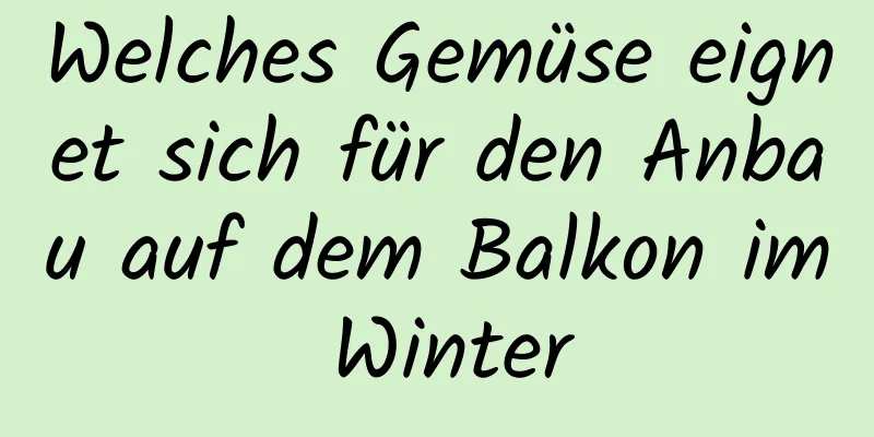 Welches Gemüse eignet sich für den Anbau auf dem Balkon im Winter