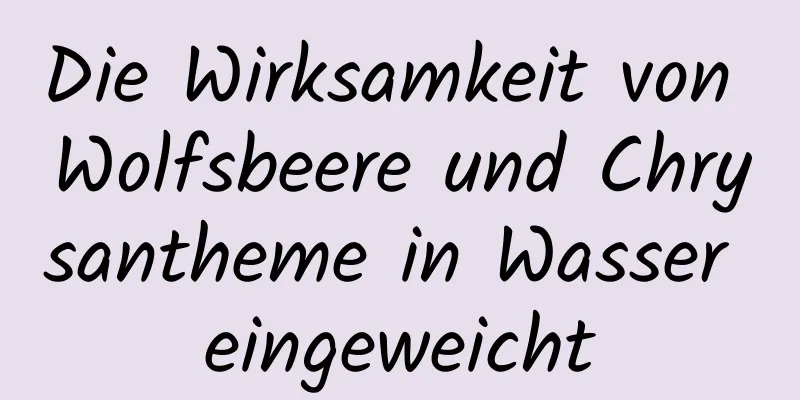 Die Wirksamkeit von Wolfsbeere und Chrysantheme in Wasser eingeweicht