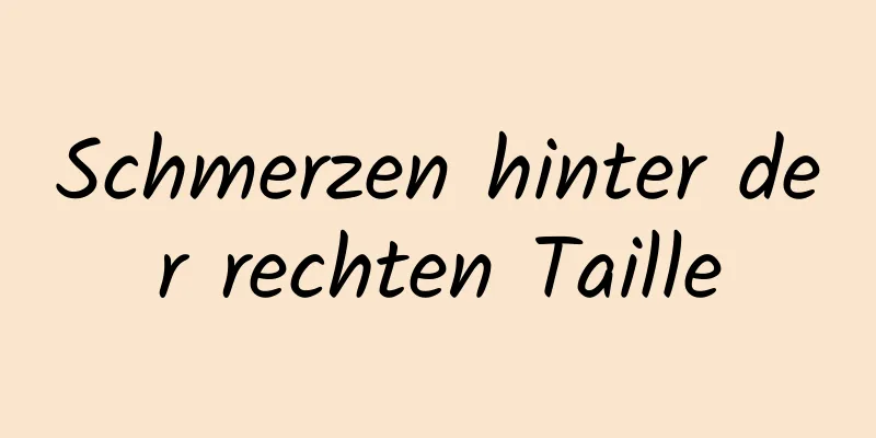 Schmerzen hinter der rechten Taille