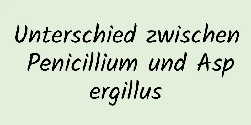 Unterschied zwischen Penicillium und Aspergillus