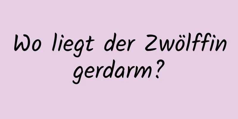 Wo liegt der Zwölffingerdarm?