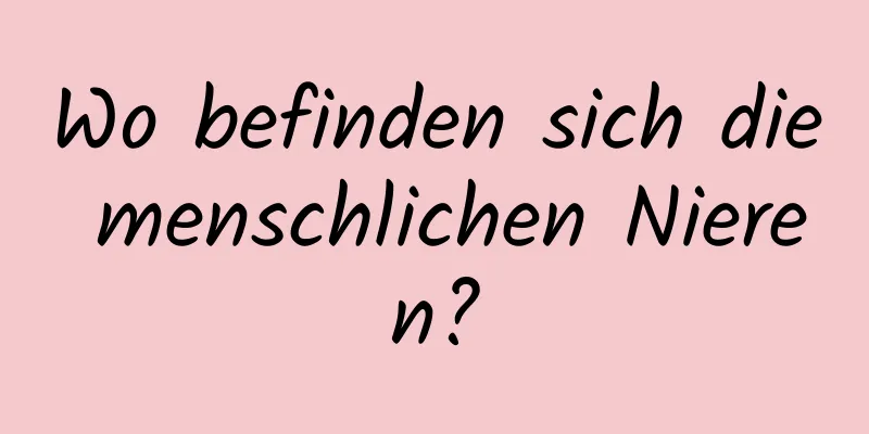 Wo befinden sich die menschlichen Nieren?