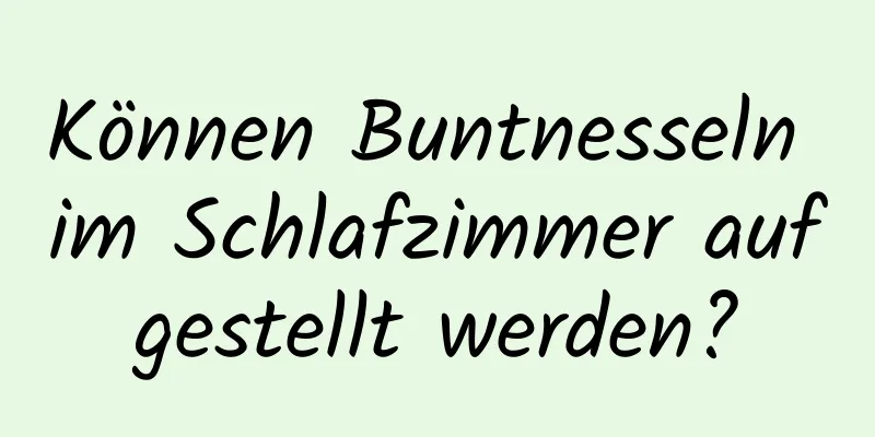 Können Buntnesseln im Schlafzimmer aufgestellt werden?
