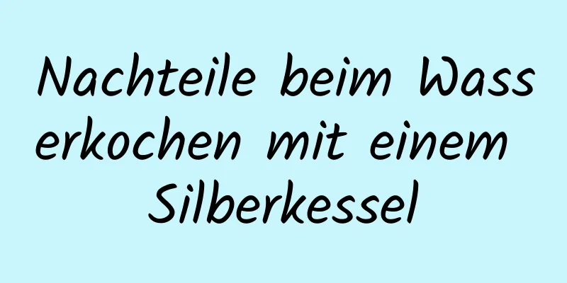 Nachteile beim Wasserkochen mit einem Silberkessel