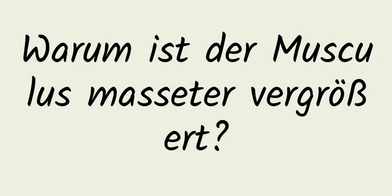 Warum ist der Musculus masseter vergrößert?