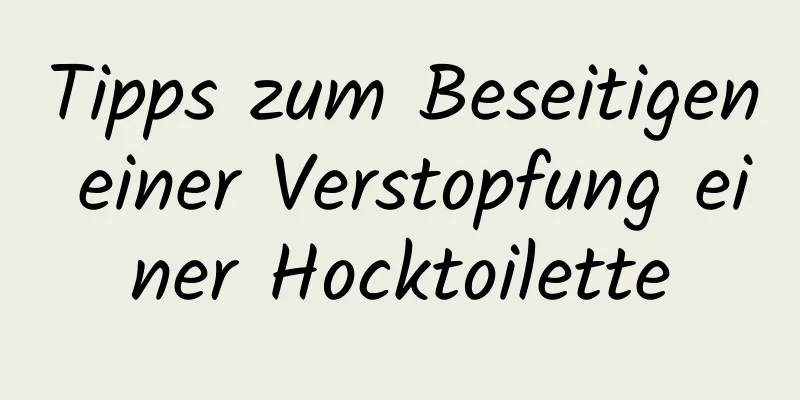 Tipps zum Beseitigen einer Verstopfung einer Hocktoilette
