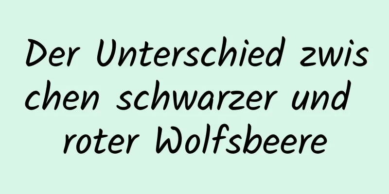 Der Unterschied zwischen schwarzer und roter Wolfsbeere