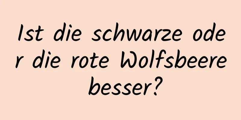 Ist die schwarze oder die rote Wolfsbeere besser?