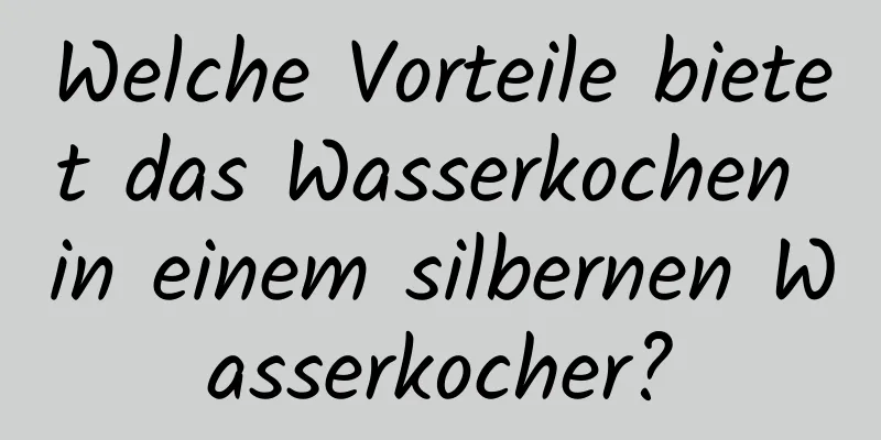 Welche Vorteile bietet das Wasserkochen in einem silbernen Wasserkocher?