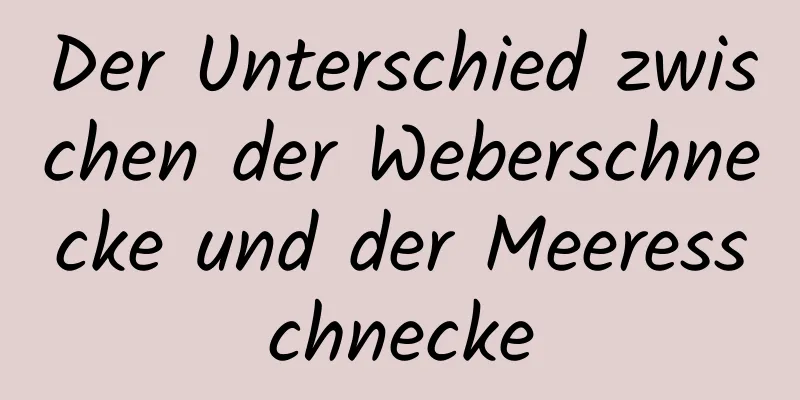 Der Unterschied zwischen der Weberschnecke und der Meeresschnecke