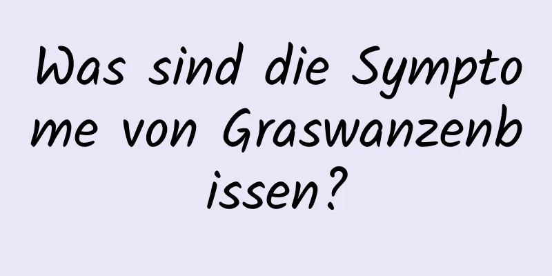 Was sind die Symptome von Graswanzenbissen?