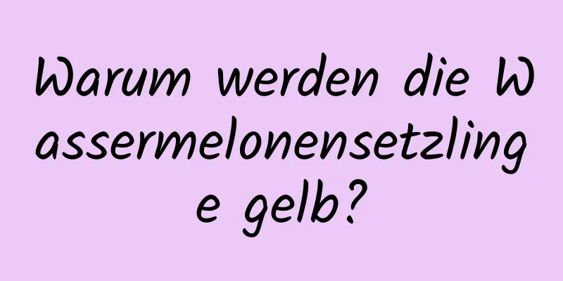 Warum werden die Wassermelonensetzlinge gelb?