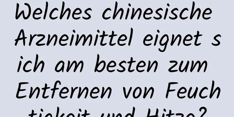 Welches chinesische Arzneimittel eignet sich am besten zum Entfernen von Feuchtigkeit und Hitze?