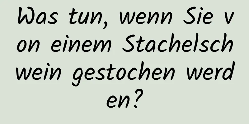 Was tun, wenn Sie von einem Stachelschwein gestochen werden?