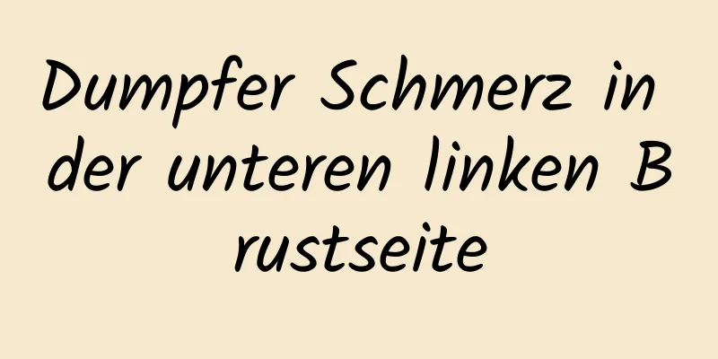 Dumpfer Schmerz in der unteren linken Brustseite