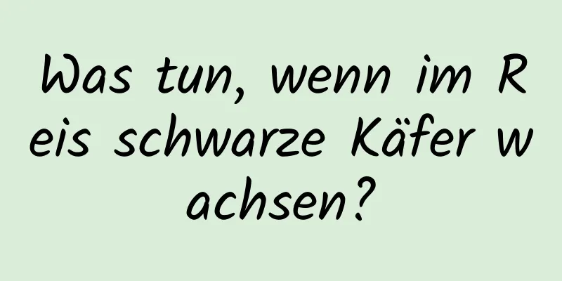 Was tun, wenn im Reis schwarze Käfer wachsen?