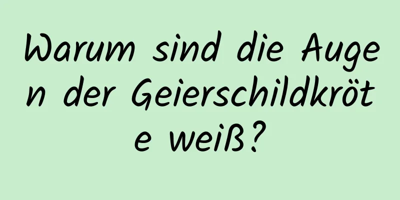 Warum sind die Augen der Geierschildkröte weiß?