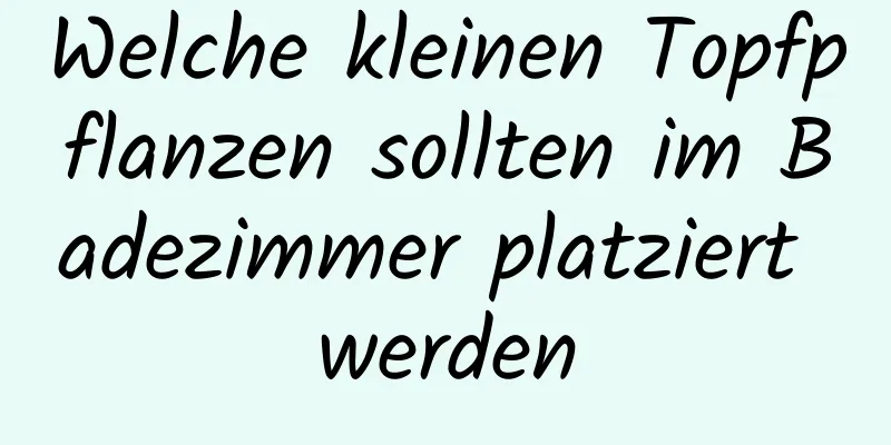 Welche kleinen Topfpflanzen sollten im Badezimmer platziert werden