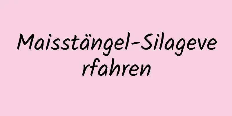 Maisstängel-Silageverfahren