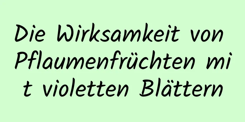 Die Wirksamkeit von Pflaumenfrüchten mit violetten Blättern