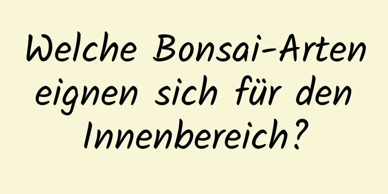 Welche Bonsai-Arten eignen sich für den Innenbereich?