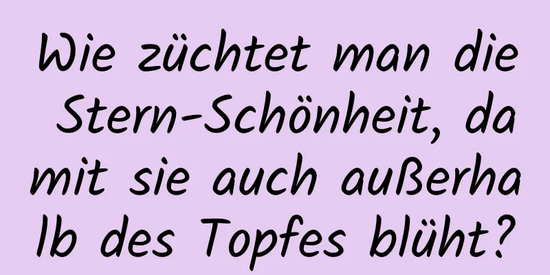 Wie züchtet man die Stern-Schönheit, damit sie auch außerhalb des Topfes blüht?