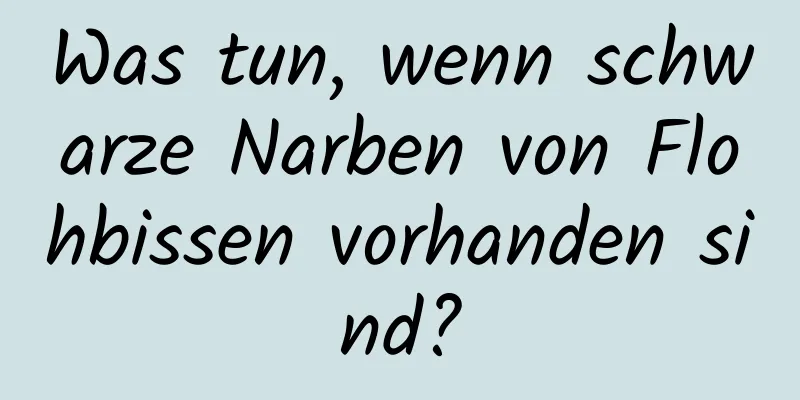 Was tun, wenn schwarze Narben von Flohbissen vorhanden sind?